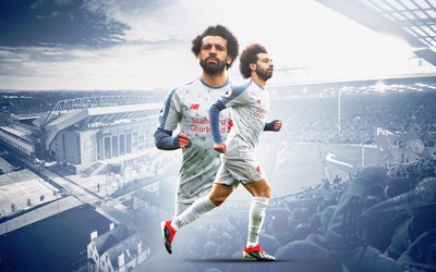 金博电竞焦点-B席和球迷